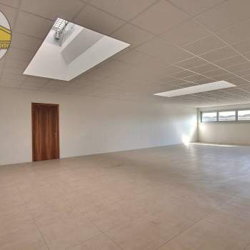Locale commerciale in vendita a Mogliano Veneto