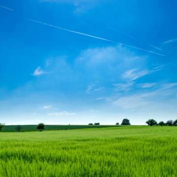 Terreno Agricolo in vendita a Villorba, Catena