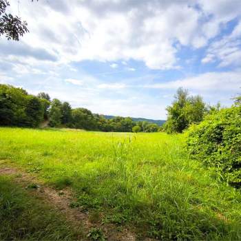 OCCASIONE - TERRENO AGRICOLO SUPERFICIE 2.575 mq a Revine Lago
