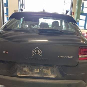 Portellone nudo CITROEN C4 CACTUS  del 2018
