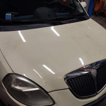 Cofano LANCIA YPSILON  del 2006