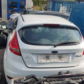 Portellone nudo FORD FIESTA  del 2010