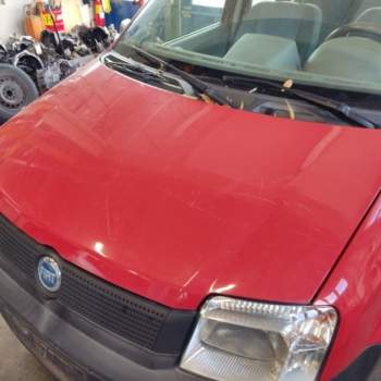 Cofano FIAT PANDA  del 2009