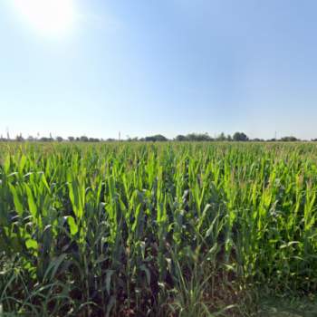 Terreno in vendita a Castiglione delle Stiviere (Mantova)