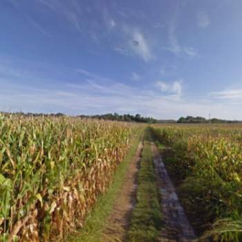 Terreno in vendita a Cavriana (Mantova)