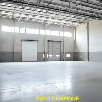 Capannone in affitto a Maser&agrave; di Padova (Padova)