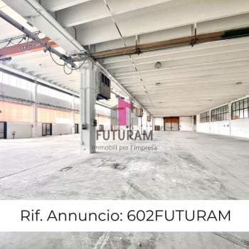 Capannone in affitto a Dueville (Vicenza)