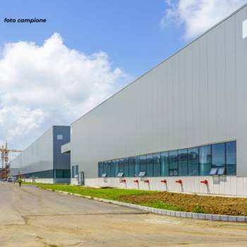 Capannone in affitto a Piazzola sul Brenta (Padova)