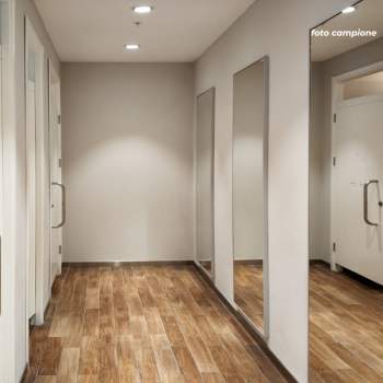 Negozio in affitto a Noventa Padovana (Padova)