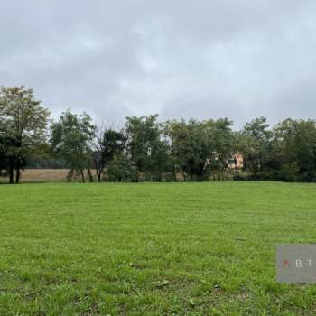 Terreno in vendita a Campo San Martino (Padova)