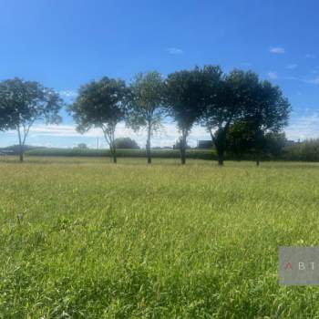 Terreno in vendita a Cittadella (Padova)
