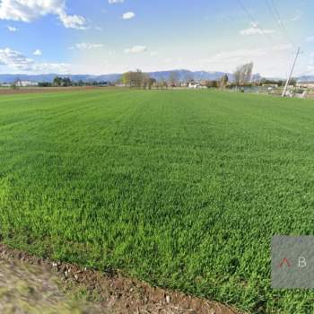 Terreno in vendita a San Martino di Lupari (Padova)