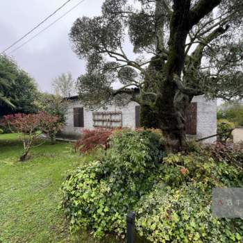 Magazzino in vendita a Campo San Martino (Padova)