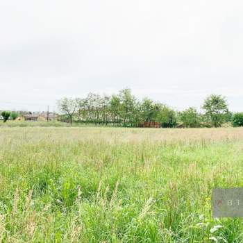 Terreno in vendita a Tombolo (Padova)