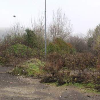 Terreno in vendita a Pontedera (Pisa)
