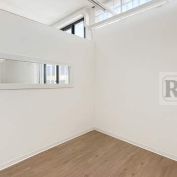 Magazzino in affitto a Limena (Padova)