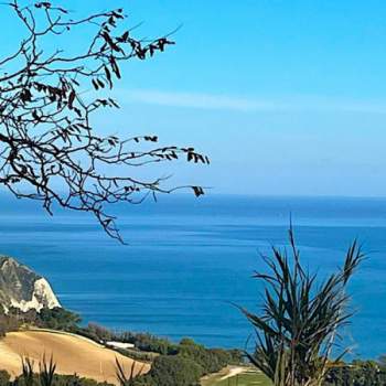 Appartamento in vendita a Ancona (Ancona)