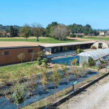 Attivita commerciale in vendita a Borgomanero (Novara)