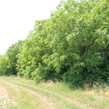 Terreno in vendita a Aiello del Friuli (Udine)