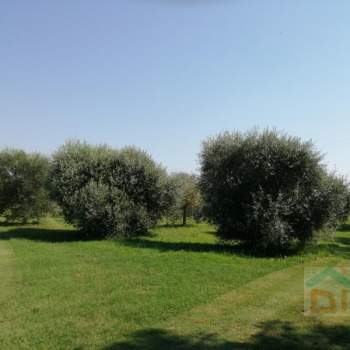 Terreno in vendita a Bagnaria Arsa (Udine)