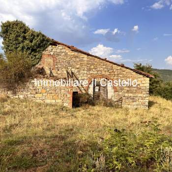 Attivita commerciale in vendita a Piegaro (Perugia)