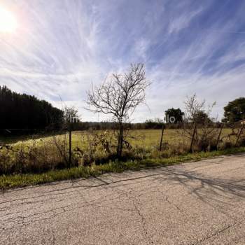 Terreno in vendita a Castiglione del Lago (Perugia)