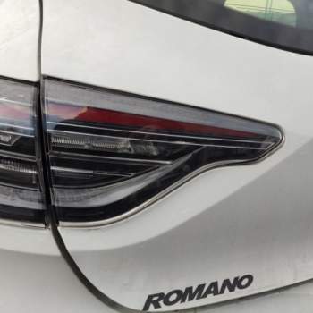 Fanale post sx int RENAULT CLIO  del 2024