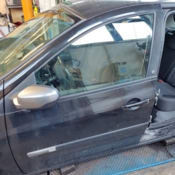 Porta anteriore sx nuda RENAULT CLIO  del 2011