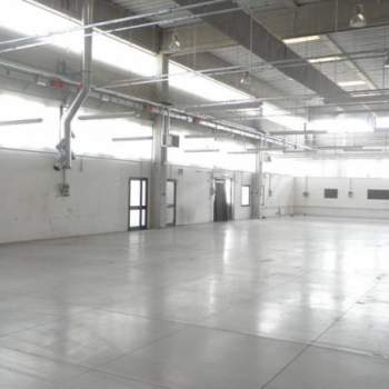 Capannone in affitto a Limena (Padova)