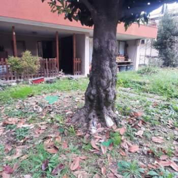 Casa singola in vendita a Selvazzano Dentro (Padova)