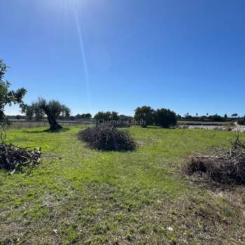 Terreno in vendita a Modica (Ragusa)