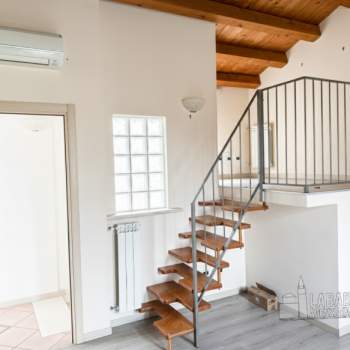 Appartamento in affitto a Badia Polesine (Rovigo)