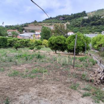 Terreno in vendita a Vallecrosia (Imperia)