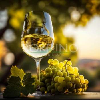 Terreno in vendita a Mango (Cuneo)