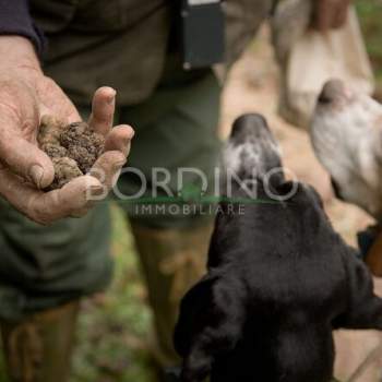 Terreno in vendita a Govone (Cuneo)