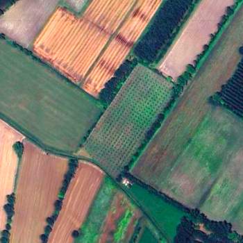 Terreno in vendita a Piombino Dese (Padova)