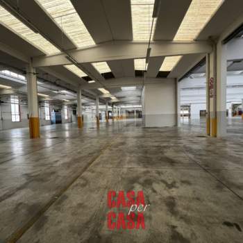 Capannone in affitto a Rovigo (Rovigo)