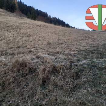 Terreno in vendita a Foza (Vicenza)