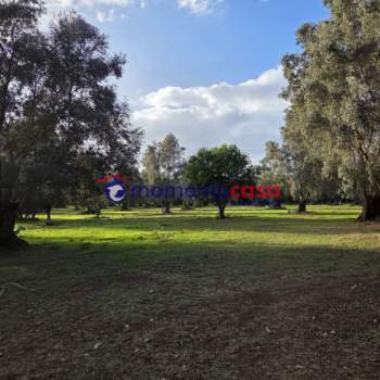 Terreno in vendita a Seminara (Reggio Calabria)