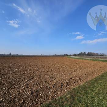 Terreno in vendita a Farra d'Isonzo (Gorizia)