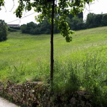 Terreno in vendita a Arcugnano (Vicenza)