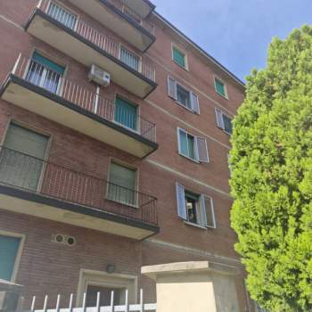 Appartamento in affitto a Bologna (Bologna)