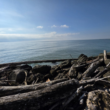 cinquantenne italiano cerca donna seria