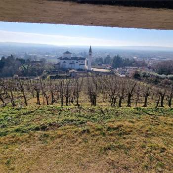 VIGNETO a Farra di Soligo