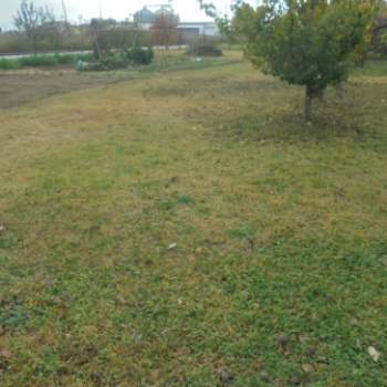 Terreno in vendita a Stienta (Rovigo)