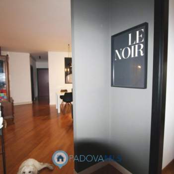 Appartamento in vendita a Padova (Padova)