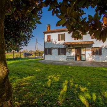 Casa singola in vendita a Tribano (Padova)
