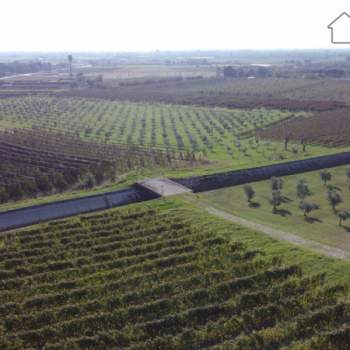 Terreno in vendita a Sommacampagna (Verona)