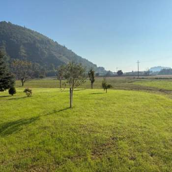 Terreno in vendita a Teolo (Padova)