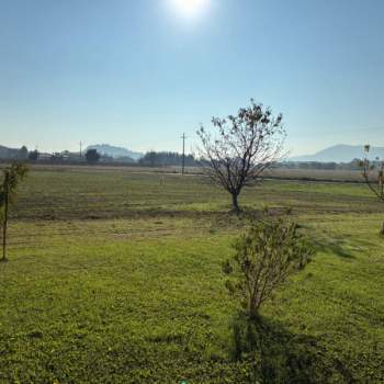 Terreno in vendita a Teolo (Padova)